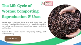 The Life Cycle of Worms Composting, Reproduction & Uses
