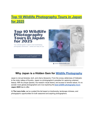 Top 10 Wildlife Photography Tours in Japan for 2025