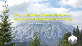 Why a Guided Tour of Mount St. Helens is More Than Just a Day Trip at Terran Travels