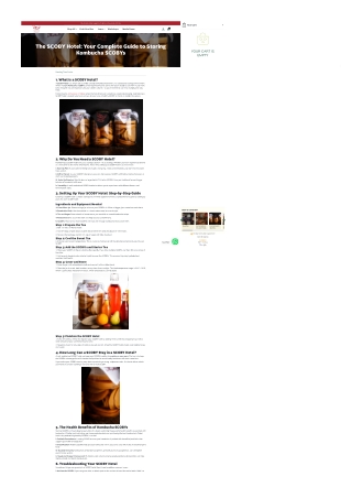 Best Healthy Kombucha Drink in Dubai | Traditional, Probiotic