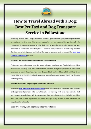 How to Travel Abroad with a Dog: Best Pet Taxi and Dog Transport Service in Folk