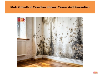 Mold Growth in Canadian Homes: Causes And Prevention