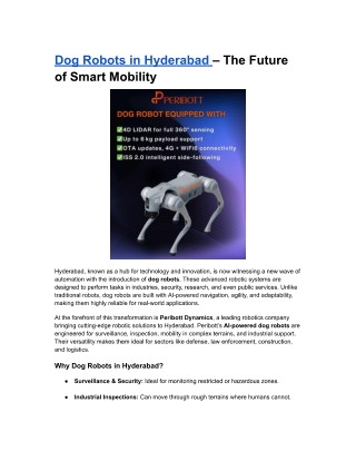 Dog Robots in Hyderabad