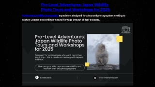 Pro-Level Adventures Japan Wildlife Photo Tours and Workshops for 2025