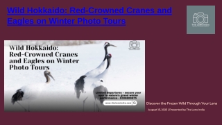 Wild Hokkaido: Red-Crowned Cranes and Eagles on Winter Photo Tours