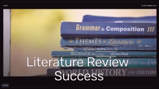 Professional Support for Systematic Literature Review Assignments