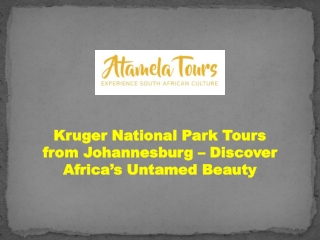 Kruger National Park Tours from Johannesburg – Adventure Awaits