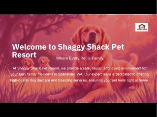 Dog Daycare and Boarding in Spanaway - Shaggy Shack Pet Resort