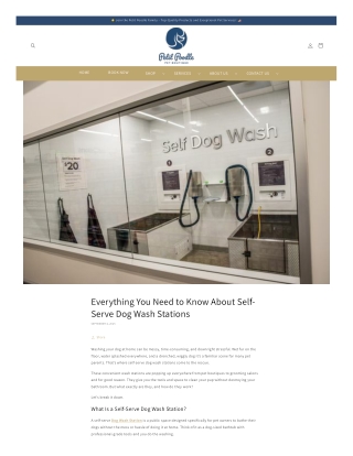 Everything You Need to Know About Self-Serve Dog Wash Stations