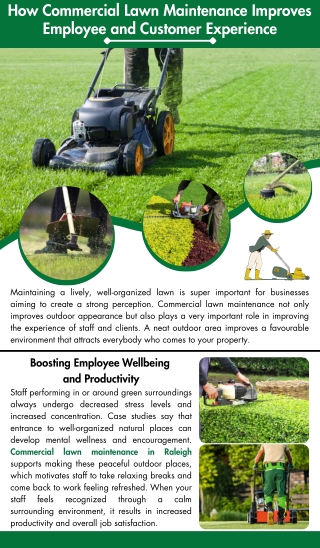 How Commercial Lawn Maintenance Improves Employee and Customer Experience