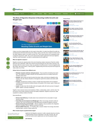 The Role of Digestive Enzymes in Boosting Cattle Growth and Weight Gain