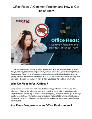 Office Fleas: A Common Problem and How to Get Rid of Them