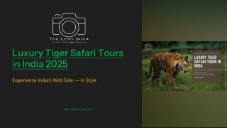 Luxury-Tiger-Safari-Tours-in-India-2025