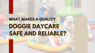 Premium Care Service for Your Loving Pets