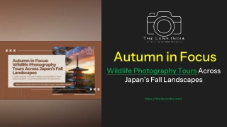 autumn-wildlife-photography-in-japan ppt