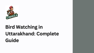 Bird Watching in Uttarakhand Complete Guide