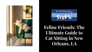 Feline Friends The Ultimate Guide to Cat Sitting in New Orleans, LA