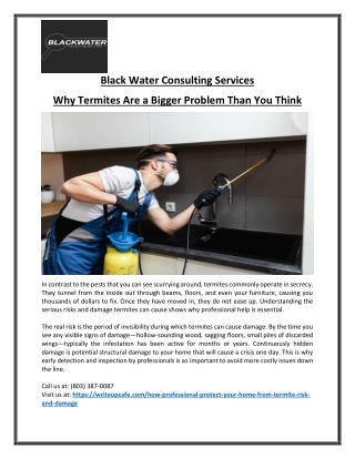 Affordable Termite Control Services for Long-Term Safety