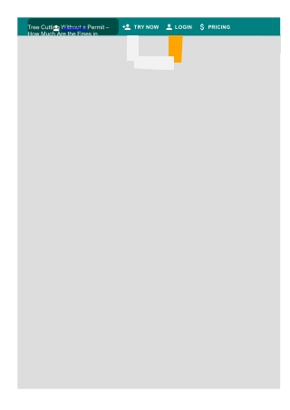 Tree Cutting Without a Permit in 2025 How Much Are the Fines