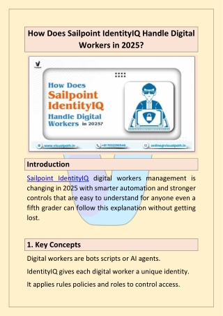 Best SailPoint Online Course with Real-Time Training