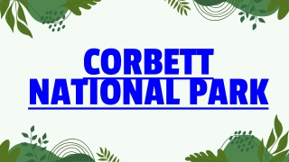 Ranthambore National Park: Your Ultimate Jungle Escape