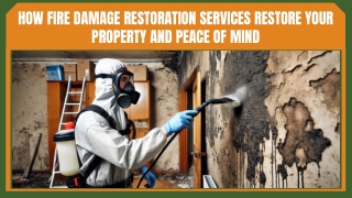 Expert Fire Damage Restoration Solutions