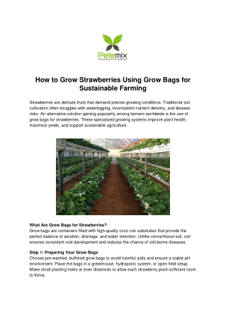 Grow Bags for Strawberries – Sustainable Farming with Pelemix