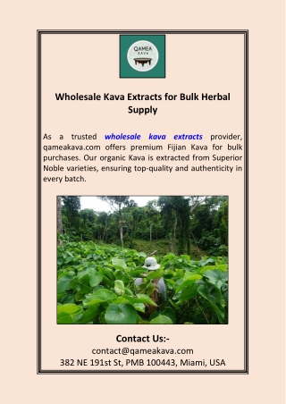 Wholesale Kava Extracts for Bulk Herbal Supply