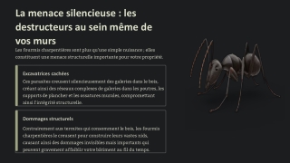 Exterminateur Coquerelles