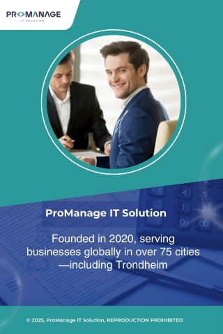 ProManage IT Solution – Your Trusted Digital Marketing & IT Partner