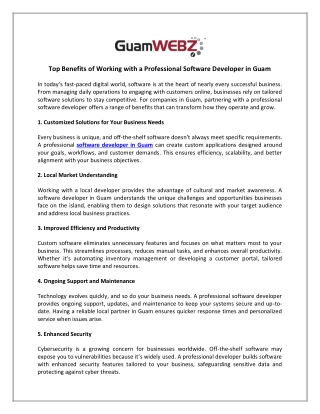 Top Benefits of Working with a Professional Software Developer in Guam