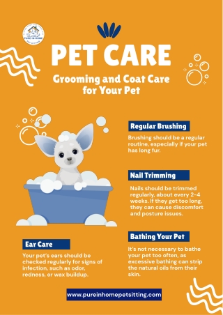 Dog Sitting & Grooming Made Easy