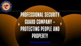 Professional Security Guard Company Protecting People and Property