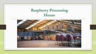 Fashion Warehousing Solutions UK: Streamlining Apparel Logistics