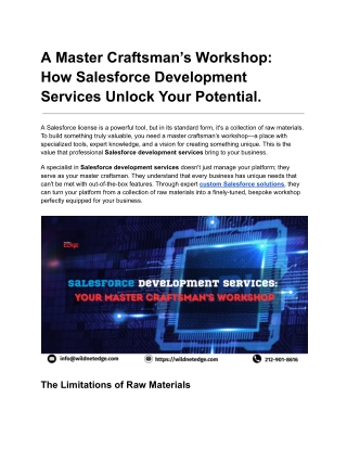 Salesforce Development Services_ Your Master Craftsman's Workshop