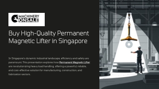 Buy-High-Quality-Permanent-Magnetic-Lifter-in-Singapore