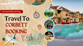 Experience Nature Up Close with Trusted Corbett Booking