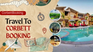 Experience Nature Up Close with Trusted Corbett Booking