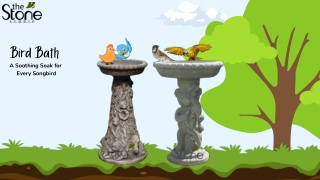 Bird Bath