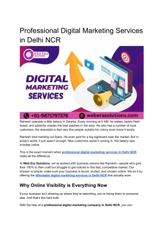 Professional Digital Marketing Services in Delhi NCR