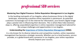 professional SEO services