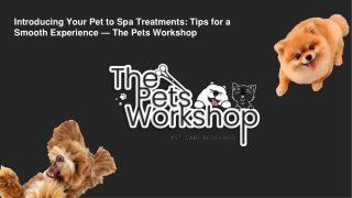 Introducing Your Pet to Spa Treatments Tips for a Smooth Experience — The Pets Workshop