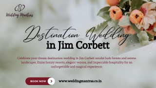 Destination Wedding in Jim Corbett – Nature‑Inspired Romance