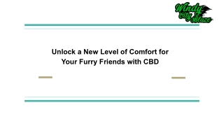 Unlock a New Level of Comfort for Your Furry Friends with CBD