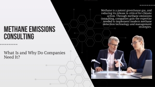 What Is Methane Emissions Consulting and Why Do Companies Need It