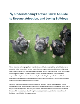 Hillside Forever Paws