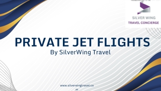 Discover the Freedom of Private Jet Flights – Silverwing Travel
