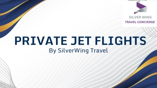 Discover the Freedom of Private Jet Flights – Silverwing Travel