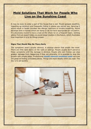 Mold Solutions That Work for People Who Live on the Sunshine Coast