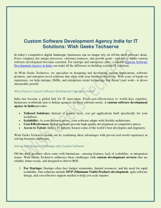 Custom Software Development Agency India for IT Solutions